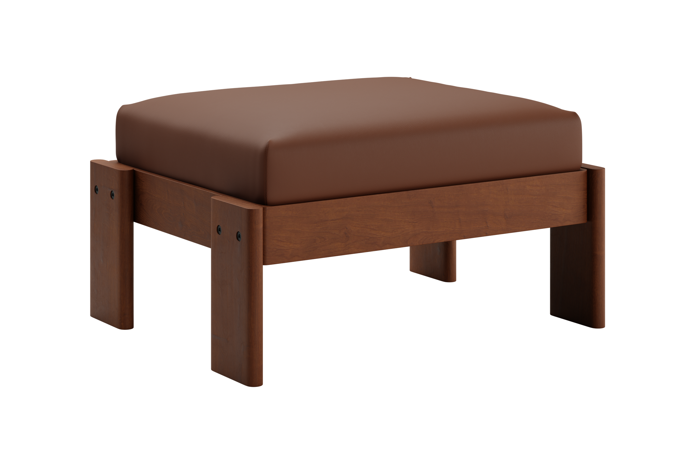 The Bacana Ottoman in Cactus Leather