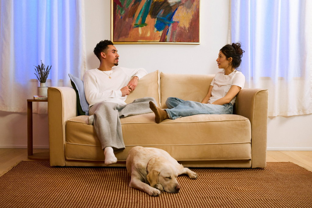 The Eclipse Sleeper Sofa in Upcycled Poly